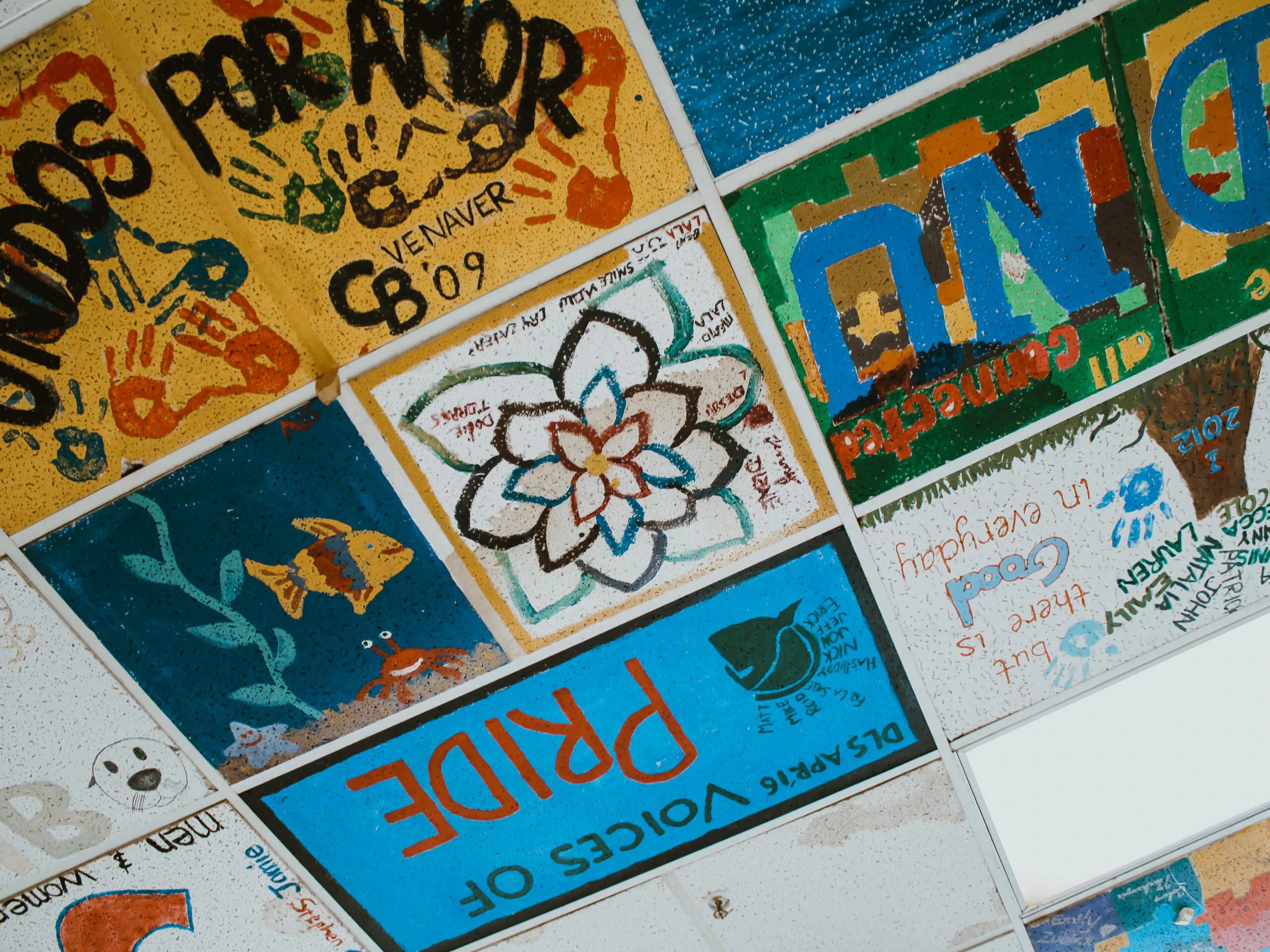 Picture of ceiling tiles at Dorothy's Place, our previous client, a homeless resource center in Salinas, California.